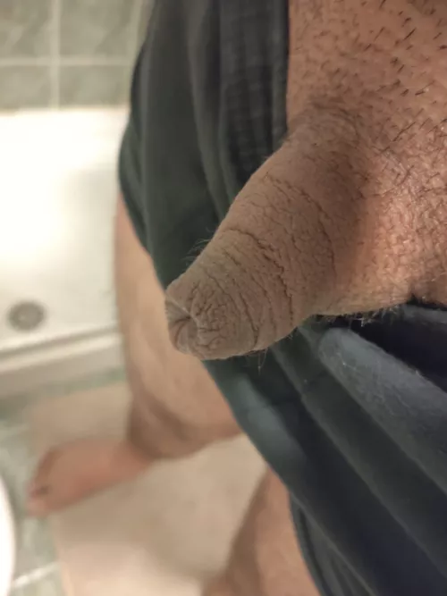 [25] Looking for people to trade pics of our small uncut cocks with. Feel free to DM!