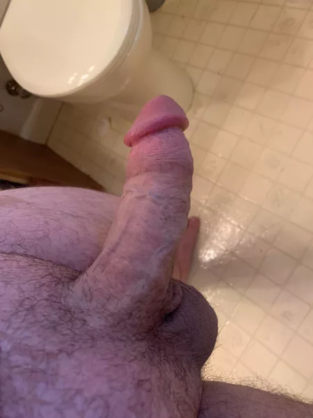 25 M Looking for some opinions on my cock