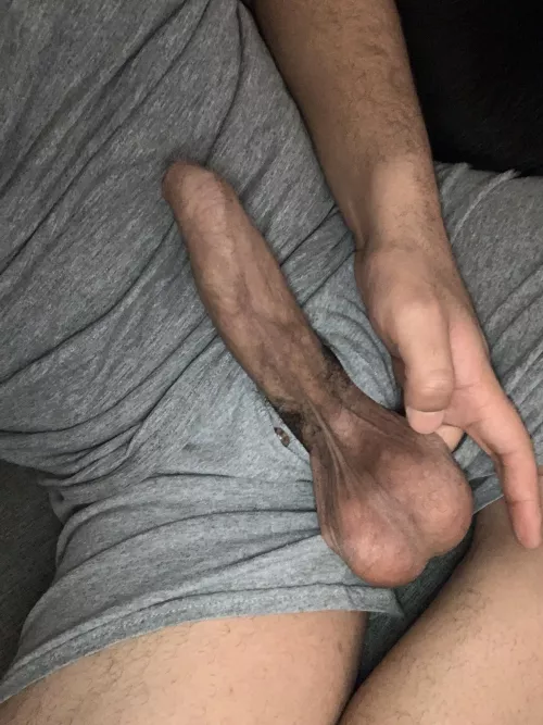 26 Toronto hmu @whitetiger_02