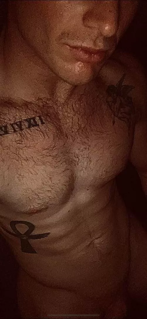 26M experienced bull for hotwife or mfm Raleigh, NC