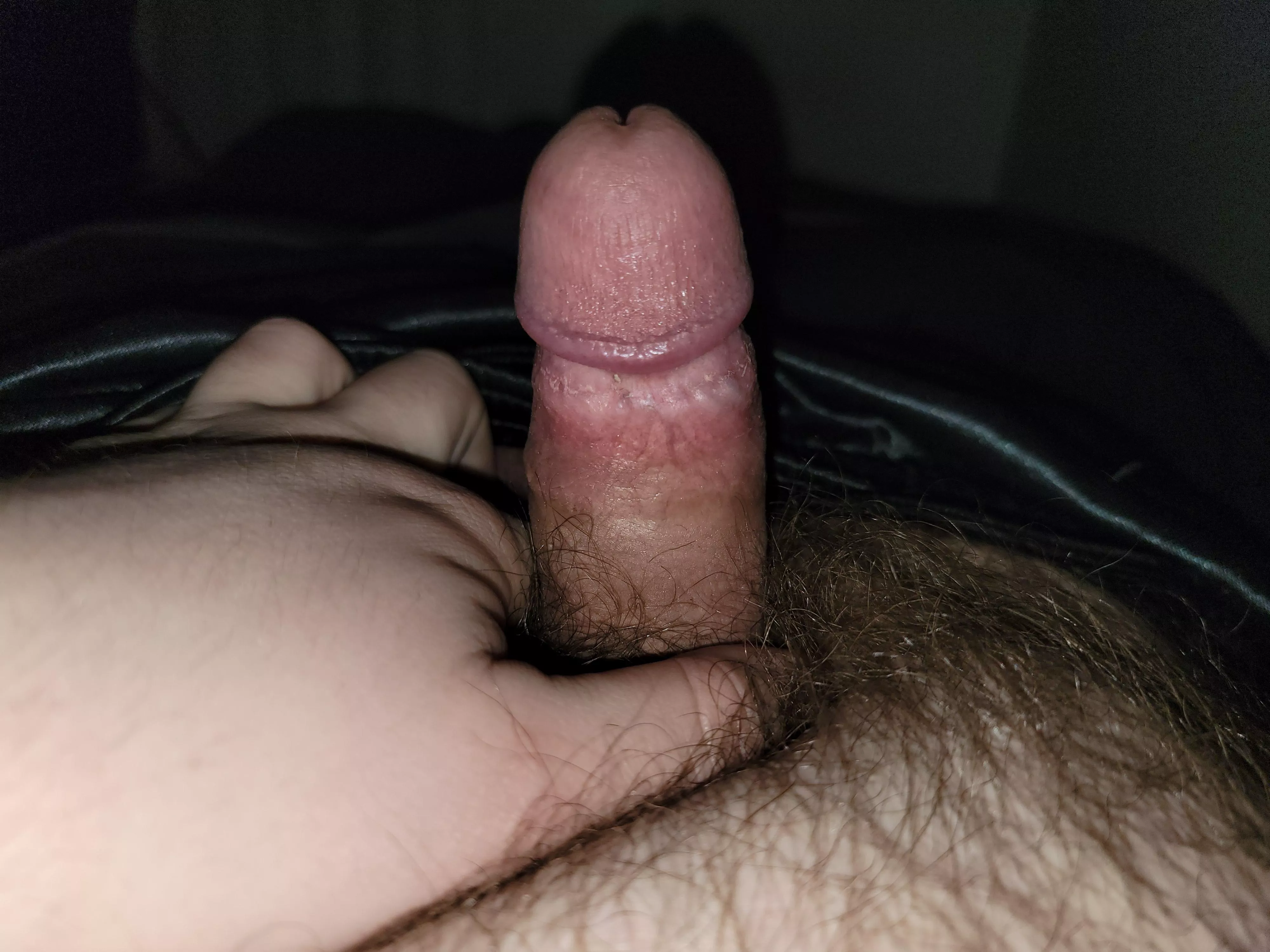 (27) 3 inch lil guy would love e to top or talk