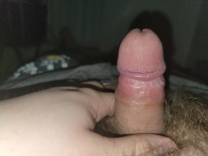 (27) lil 3 inch guy would love to top someone. Any takers 😉