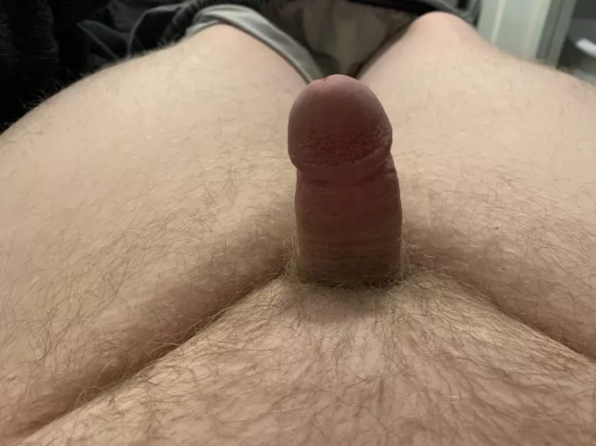 (27) morning wood