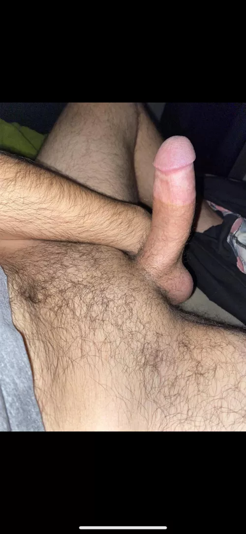 27m turkish guy here 🙋🏻♂️