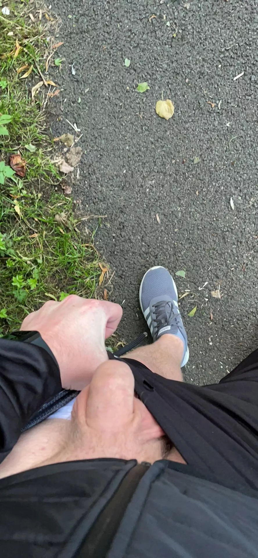 [29] out for a nice walk