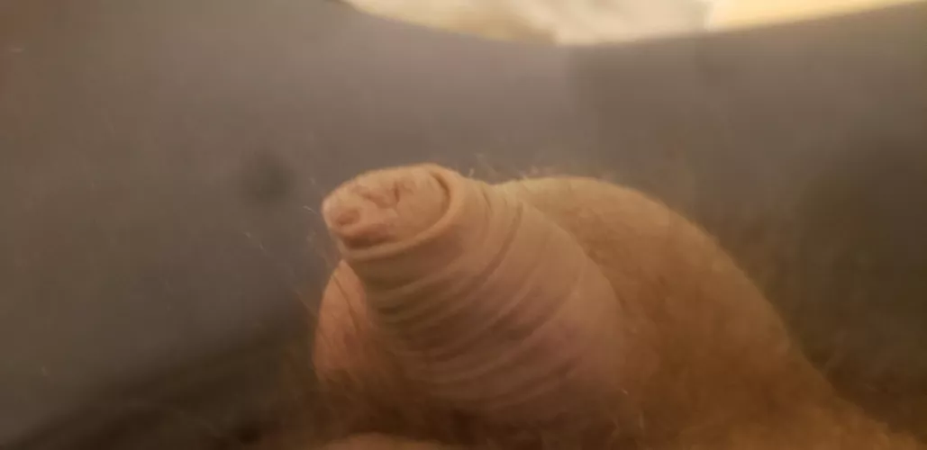 [29] what yall think