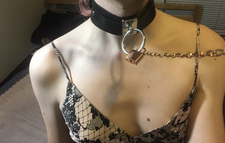 [29nb] You must be yankin’ my chain! (Please 🥺)