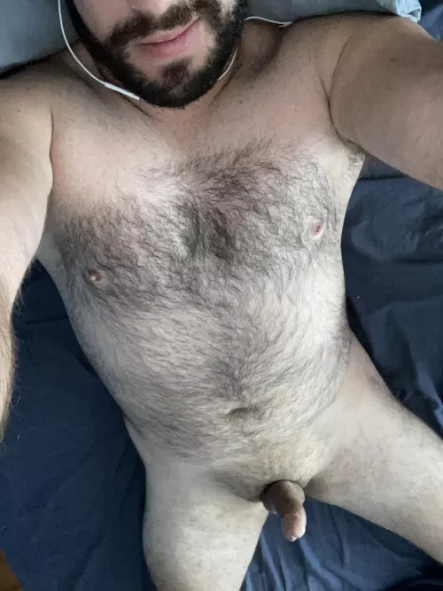 30 Aussie bi bear, enjoying my morning wood on a Monday. Tell me what you think, DM’s open