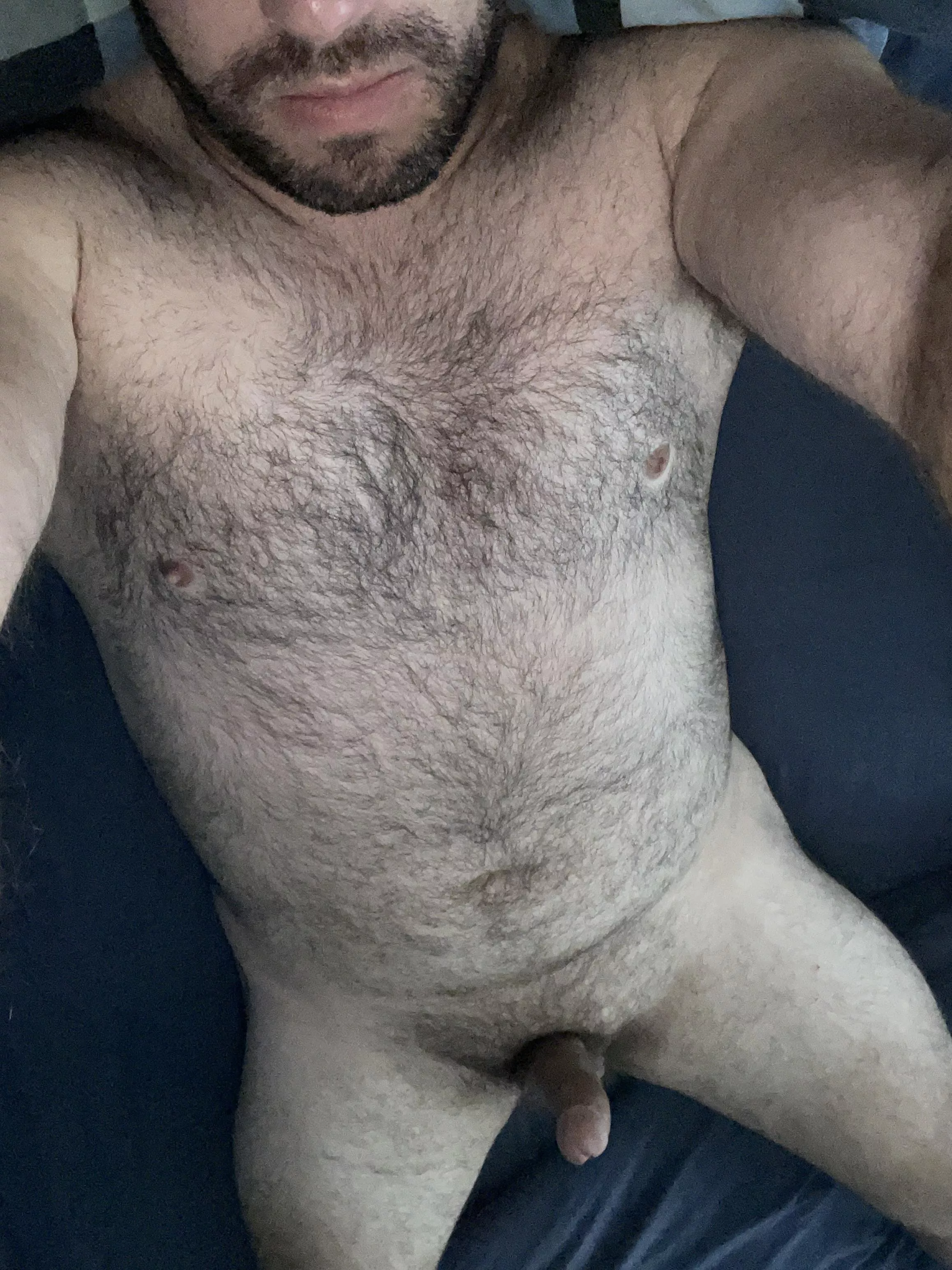 30 horny Aussie bear! Feel free to tell me what you think or what you’d do to me. DM’s open
