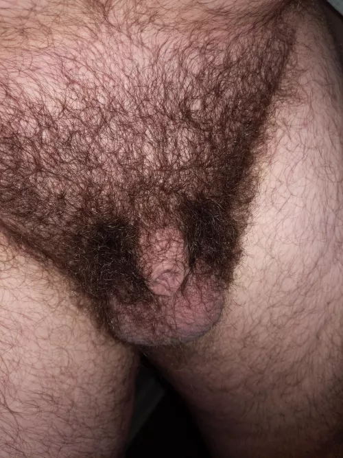 [31] hidden in the hair