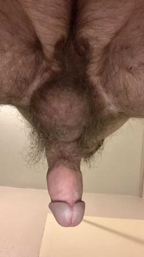 32 here is the view before I squat my hairy nuts onto your nose