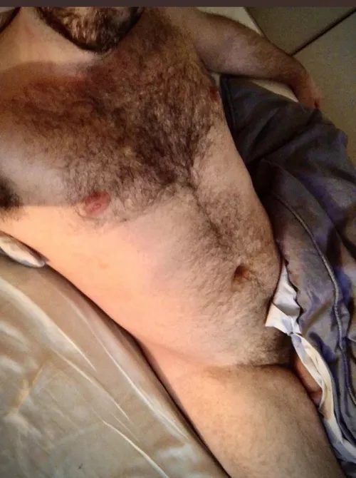 (32) looking for Papa bear.