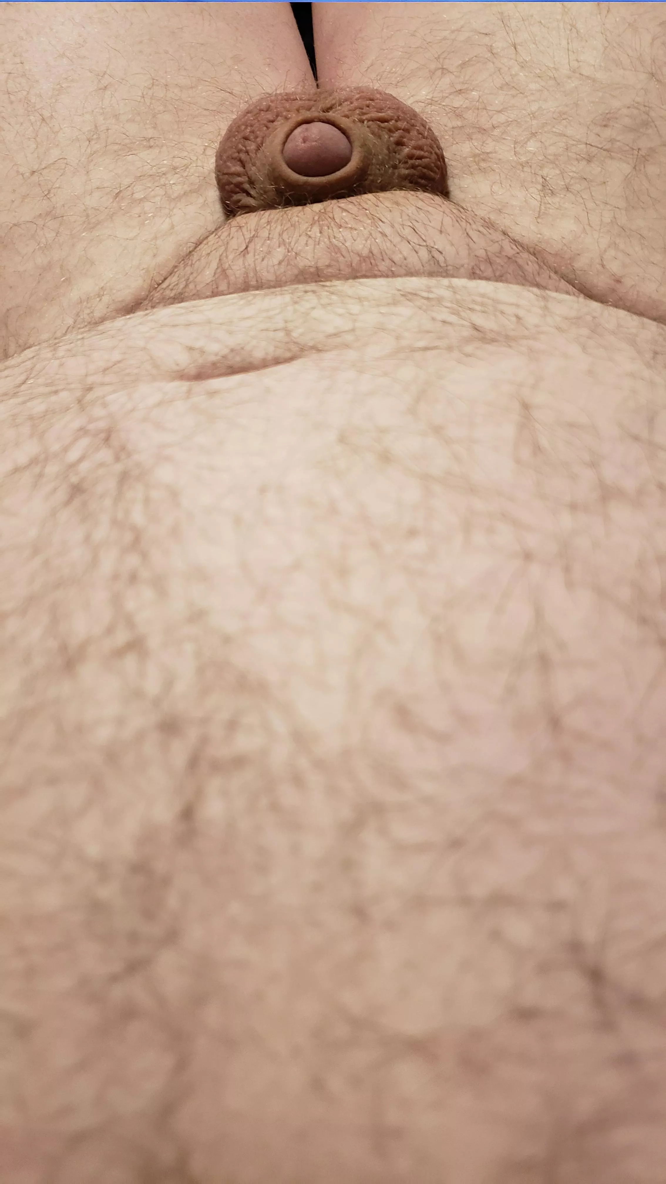 33, 240, 5'5. Just a little bear