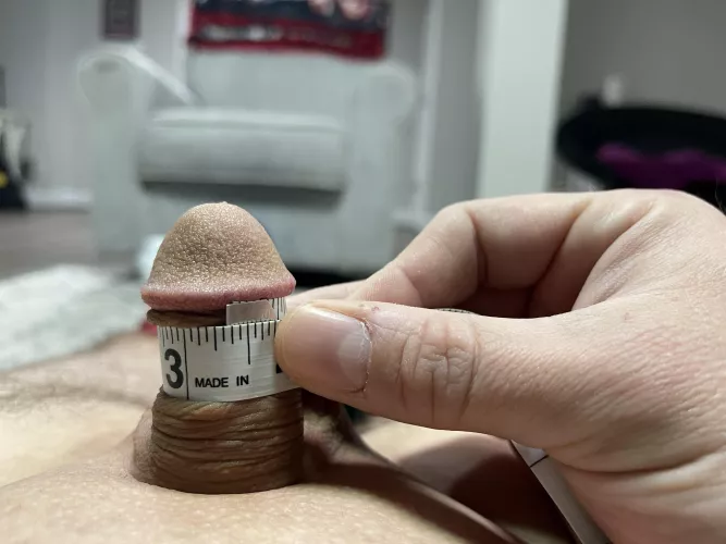 [33] Friday Measurements 3.25” girth