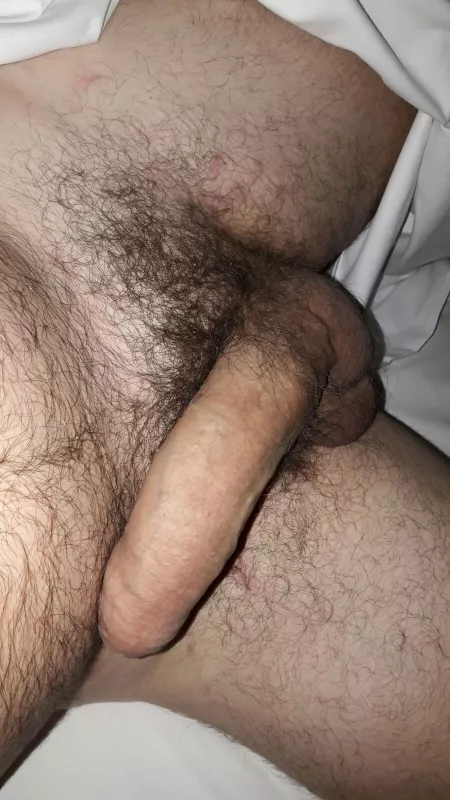 33, Gay, Dutch, bushy. βπ» Have a bush, be hairy, under 35 and happy! π₯³