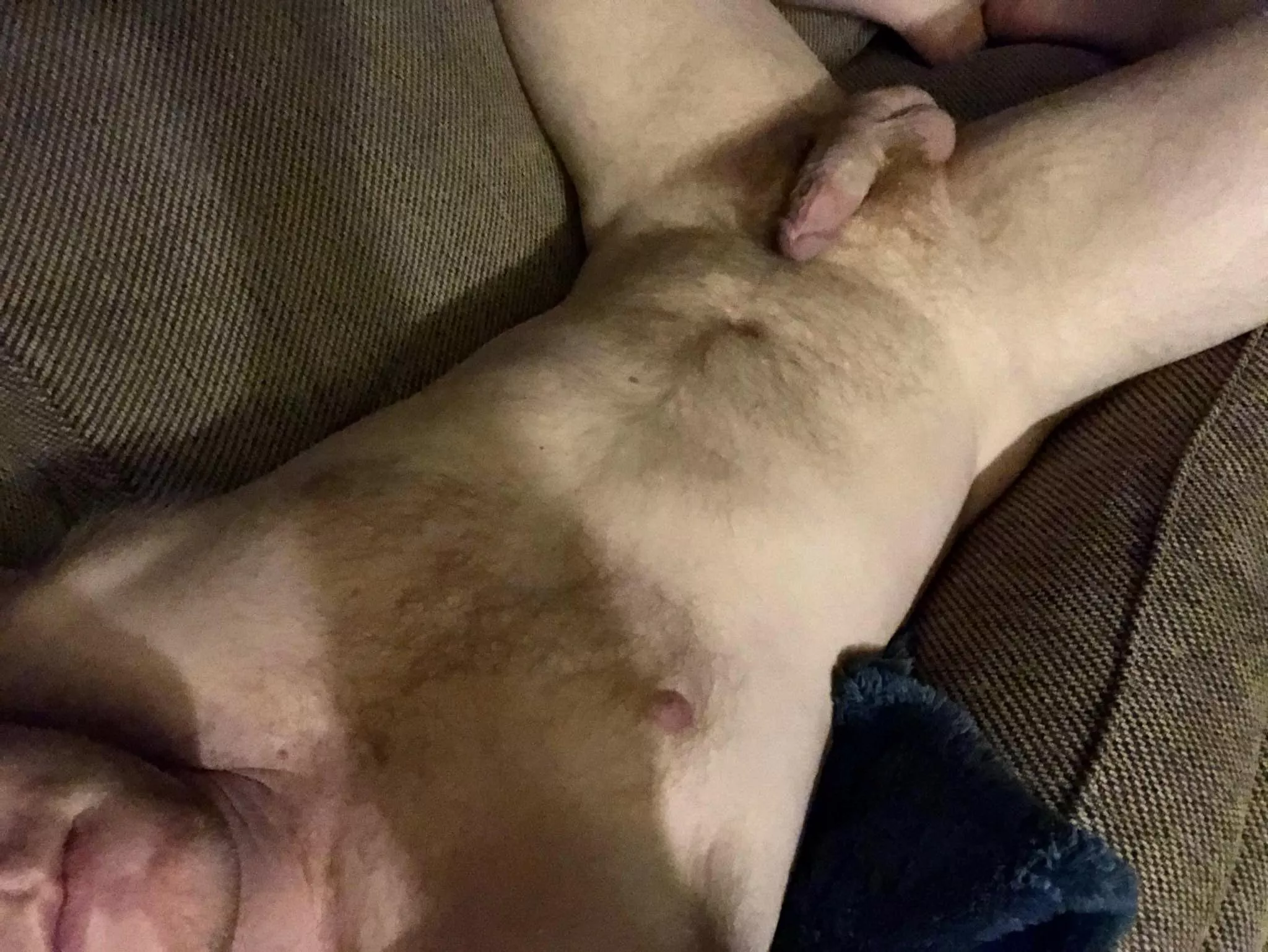 33M 5’10 205lbs Just a nude dude lounging and trying to build post divorce confidence 33M 5’10 205lbs Just a nude dude lounging and trying to build post divorce confidence