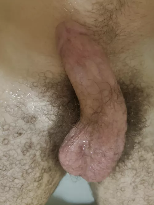 35 bi. Bored and horny