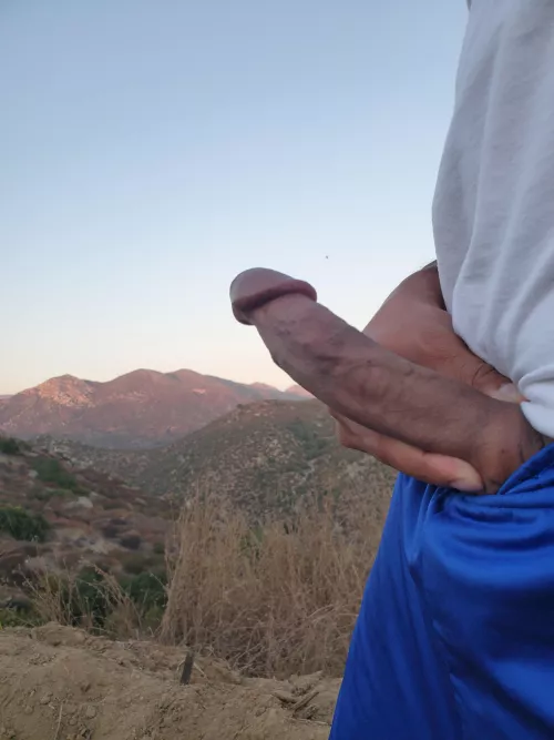 [35] Had to let Jr breathe on a hike.