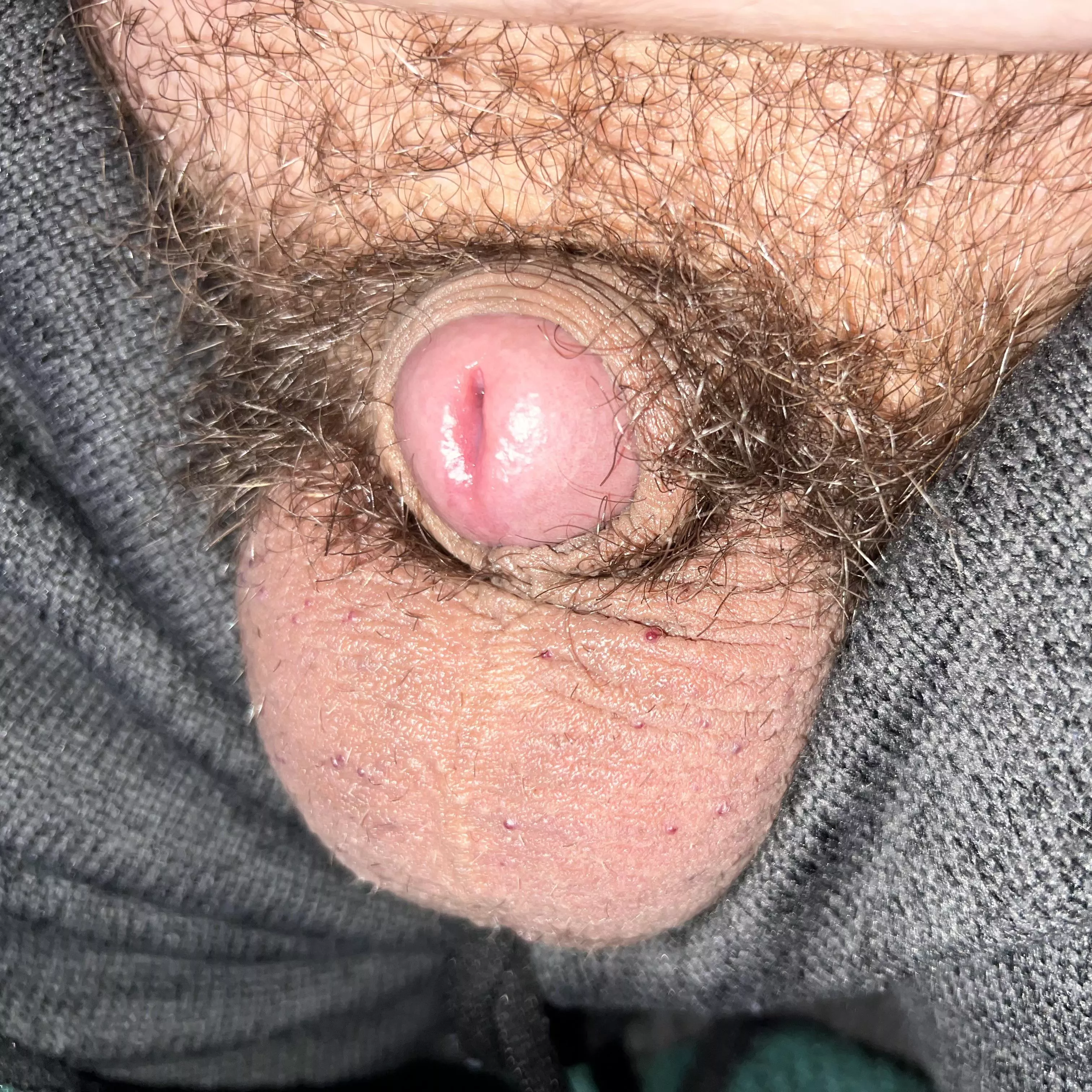 [37] Another cold Wisconsin morning 🥶