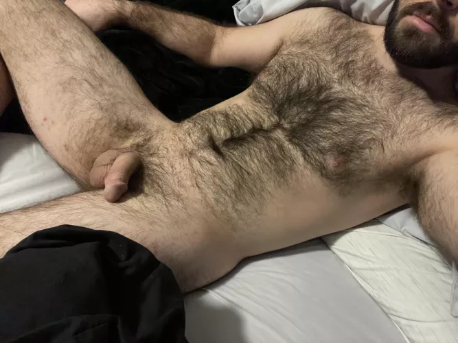 [37] Anyone else working from home today?