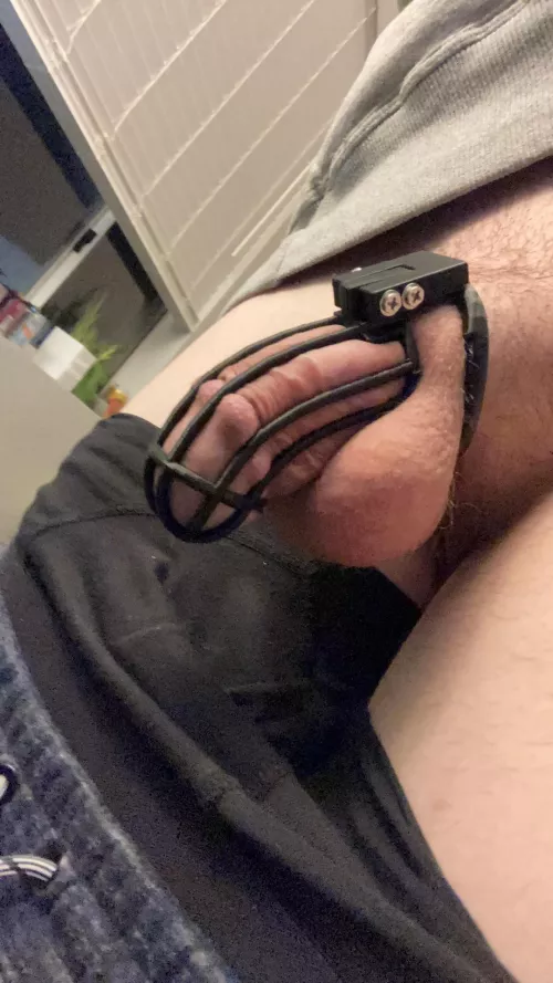 3D printed chastity. Put it on dec 31. Gonna see how far I can go into the new year. Feel free to send humiliating pics or messages! This beta deserves it