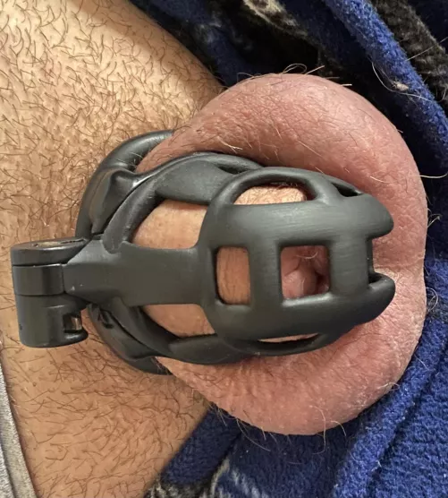 4 weeks in. Still no release as I won’t beg.