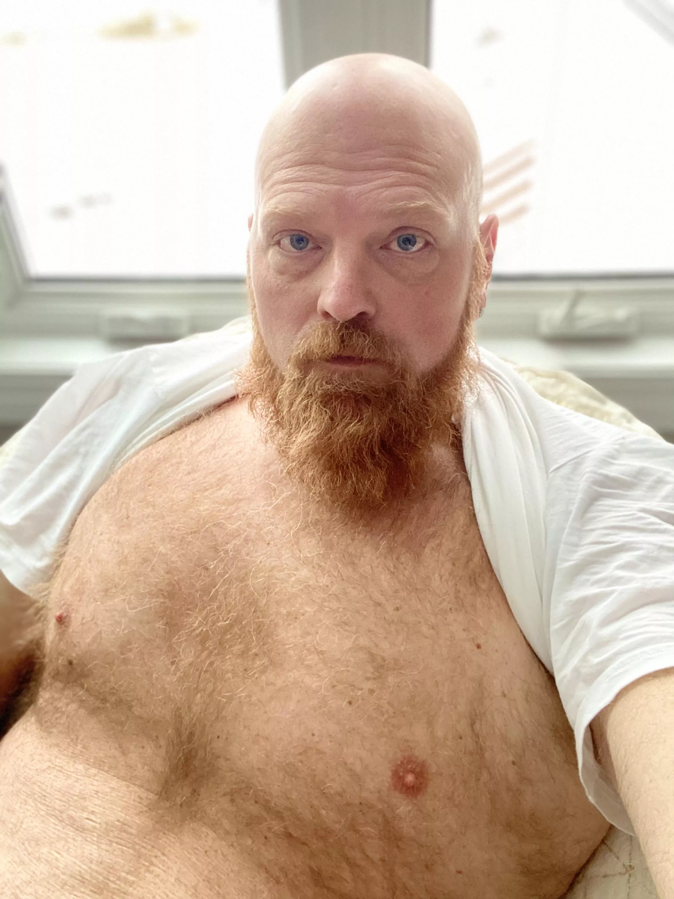 40, Ginger, morning!