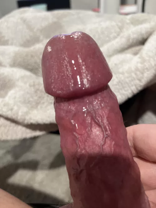 [40m] veiny and dripping