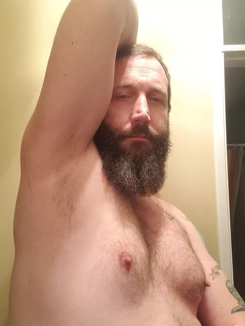 (41) Cuddly daddy bear