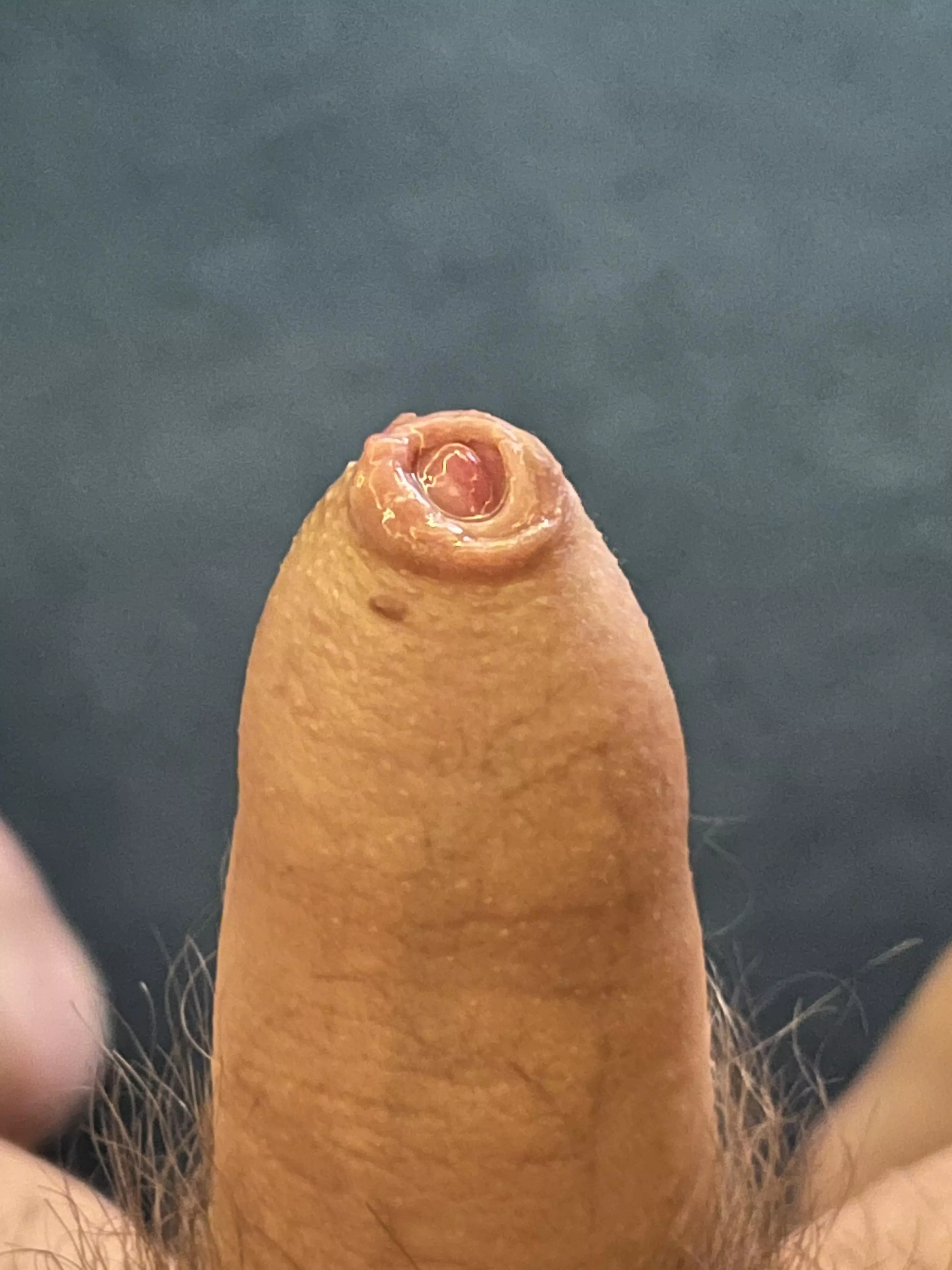 (41) Small, tight and juicy