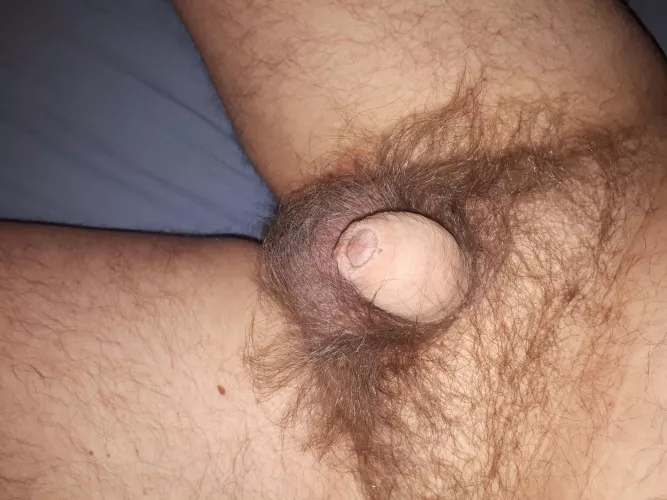 [41] Trying to make this little thing cum. Pm is open
