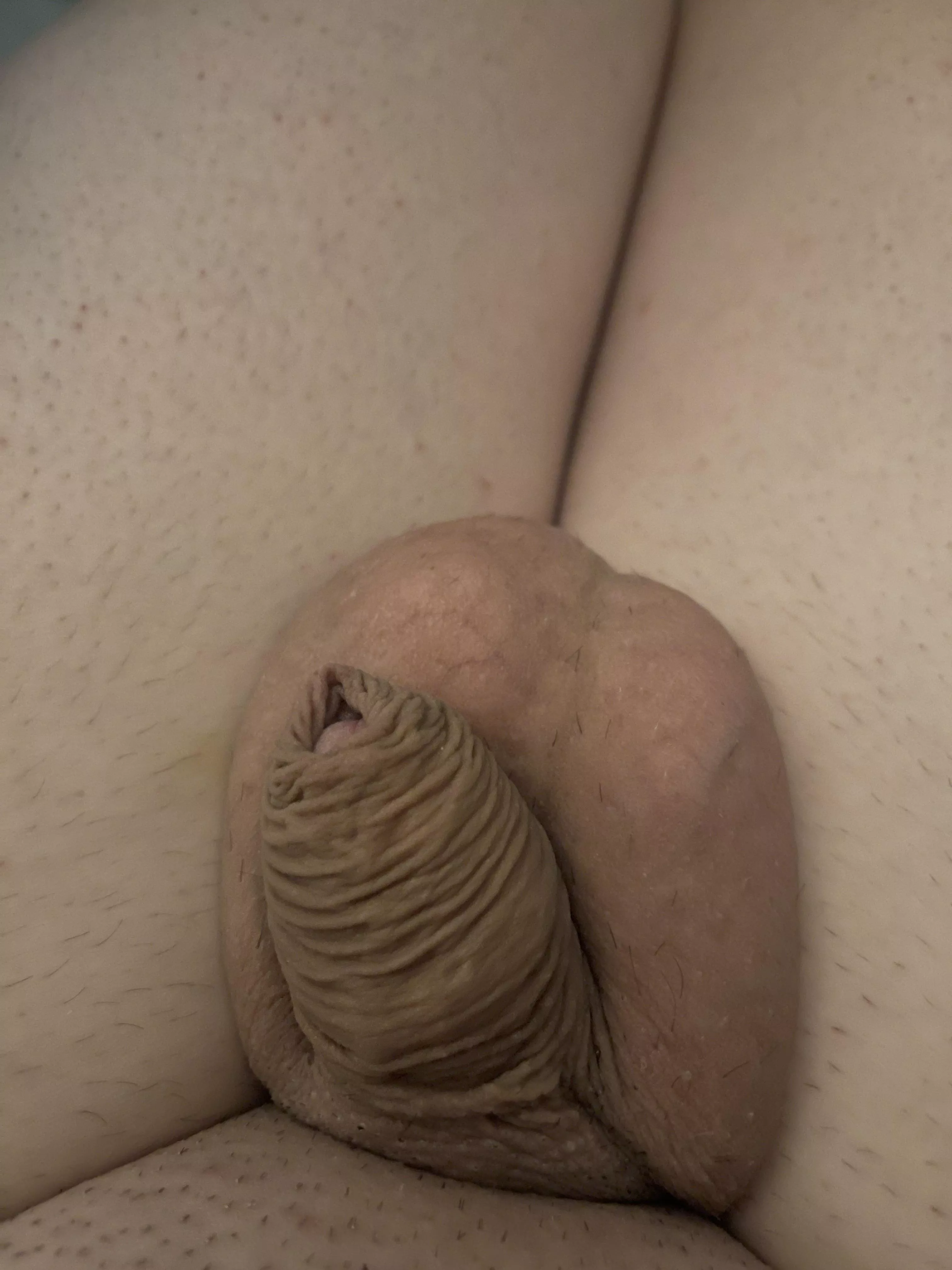 (44) yep still tiny as ever