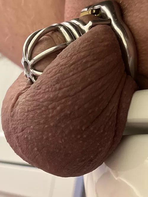 45 days with no release, due for deep clean and nut any day.