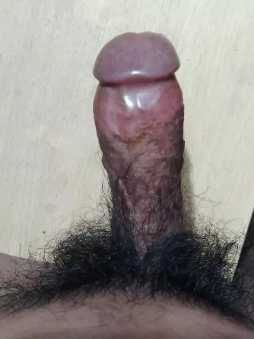 4.5 inch [25]