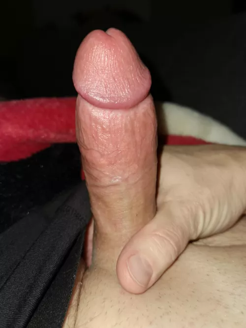 [47] Just another normal evening...