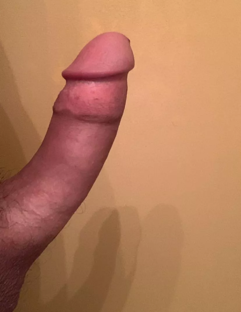 5 and a half inches…is it big enough?
