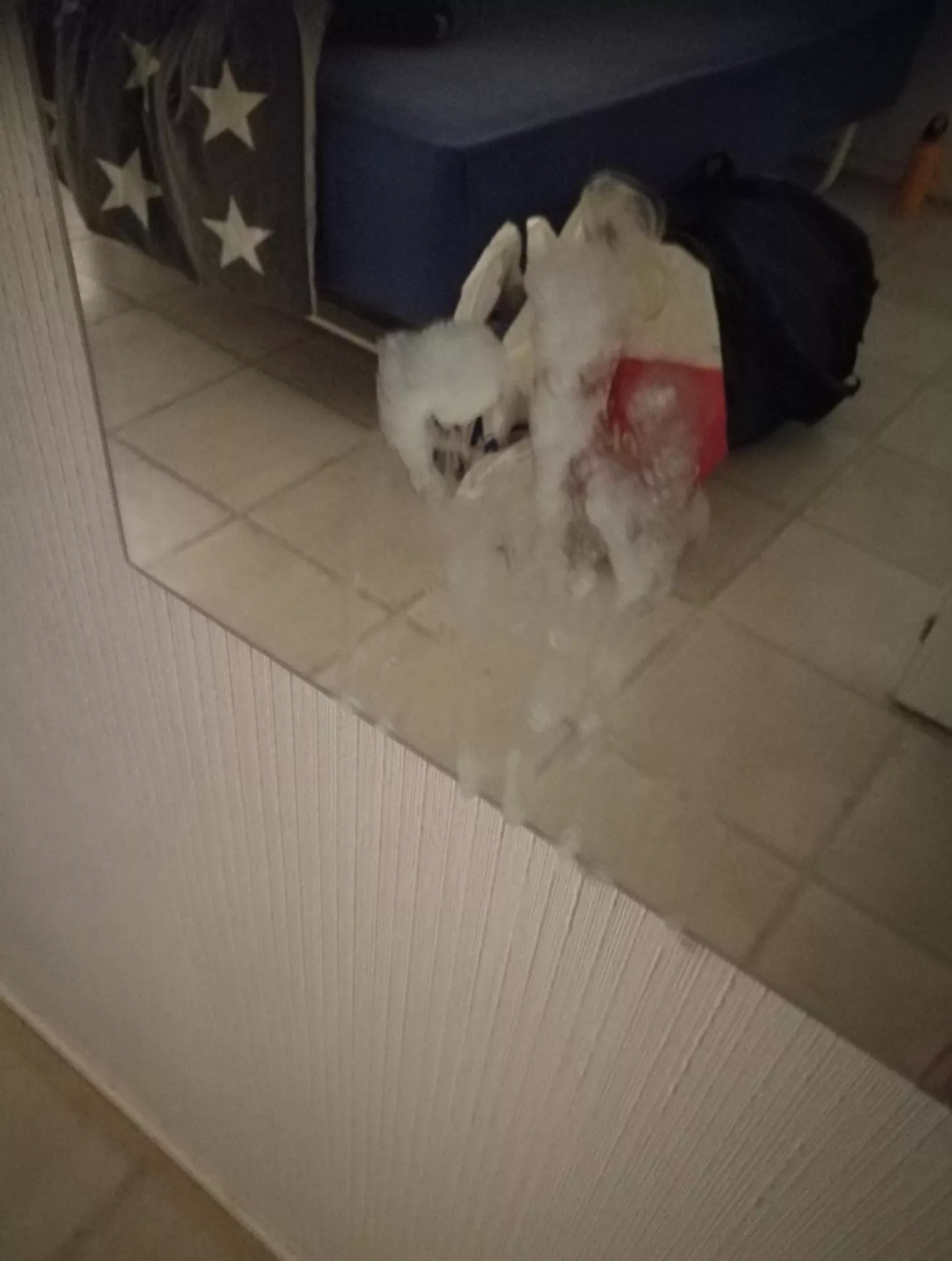 50 likes and i will post video of my massive cumshot