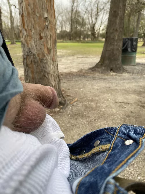 [50] North West Houston, Tx