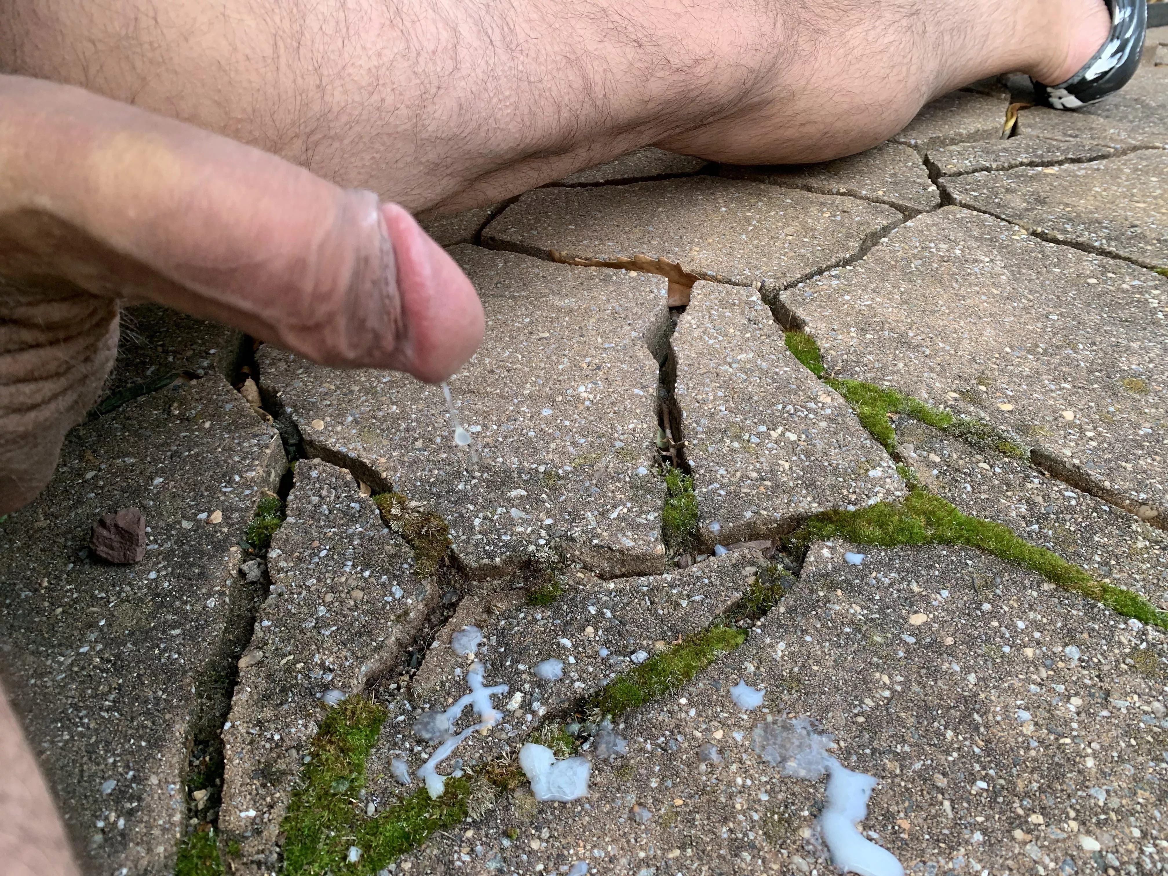 (55) When my wife goes to work I play on the patio.