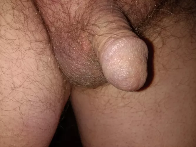 [64] You can tell it's cold today. Everything is shrinking.