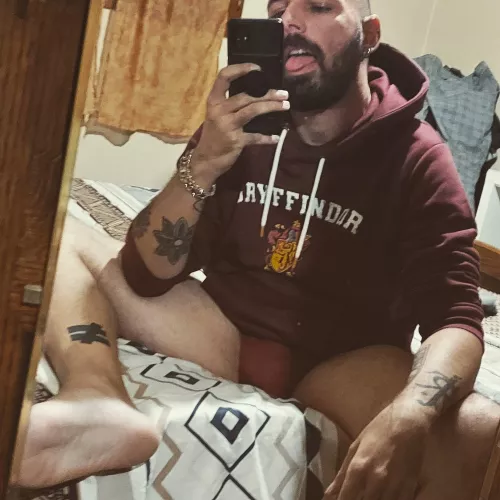69 points for Gryffindor !