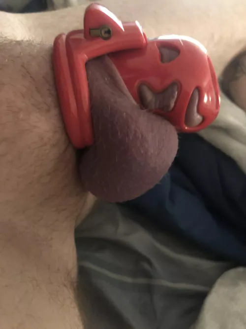 8 days without an orgasm and I’m unbelievably horny🤤🔐