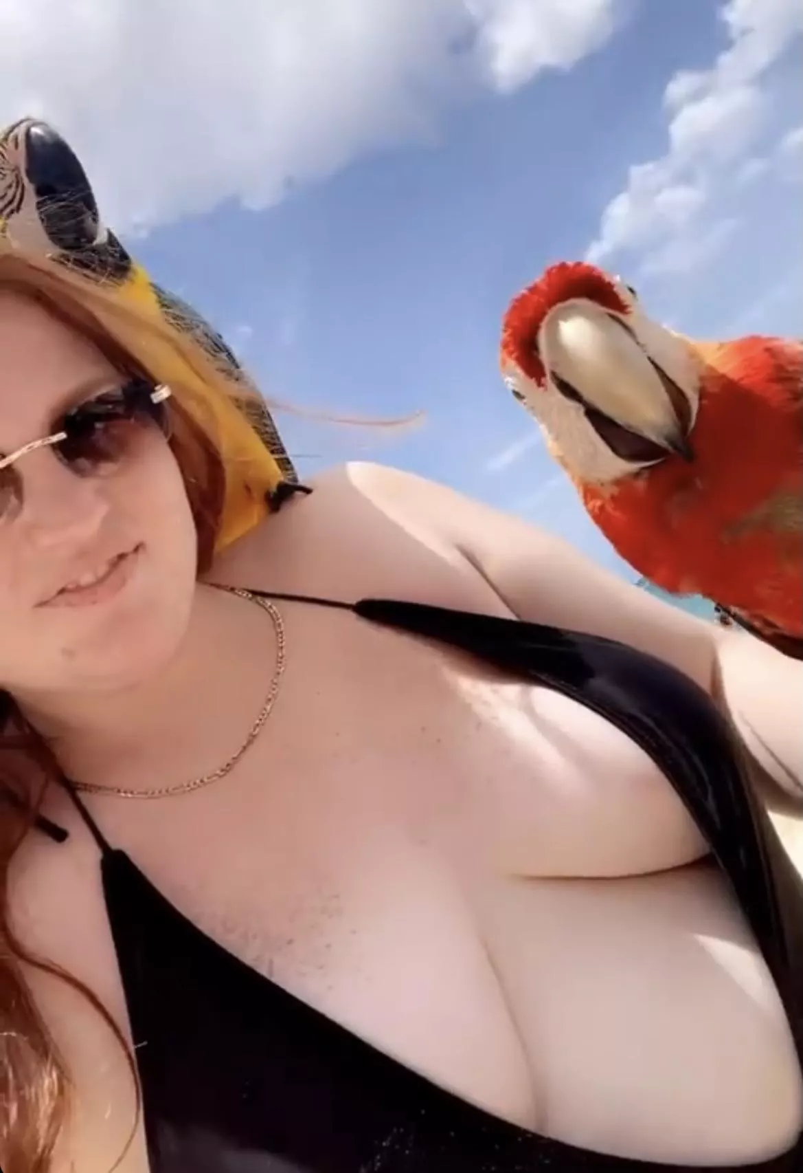 a babe and a bird