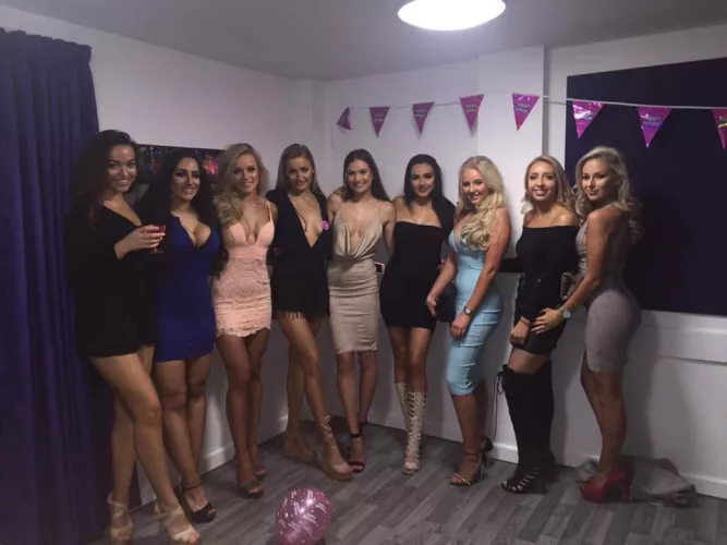 A bunch of beautiful bitches