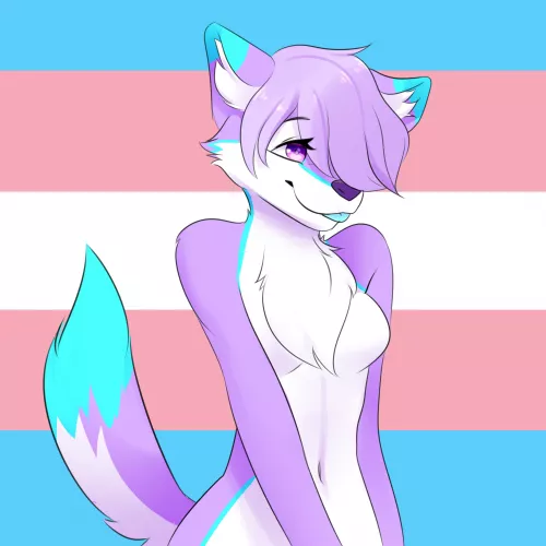 A commissions I've done :3