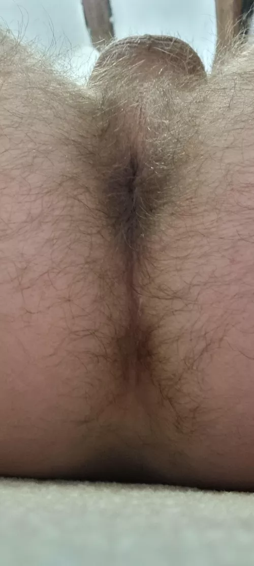 A fluffy man hole needs filling in š