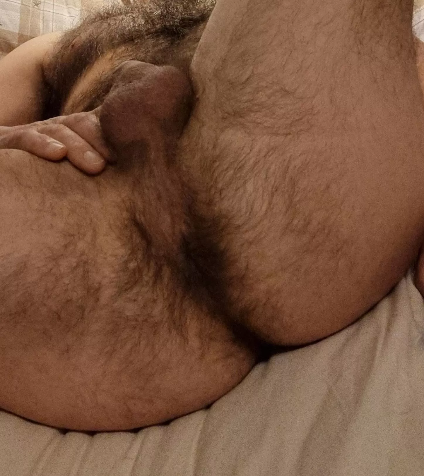A hairy man's hairy ass 😅