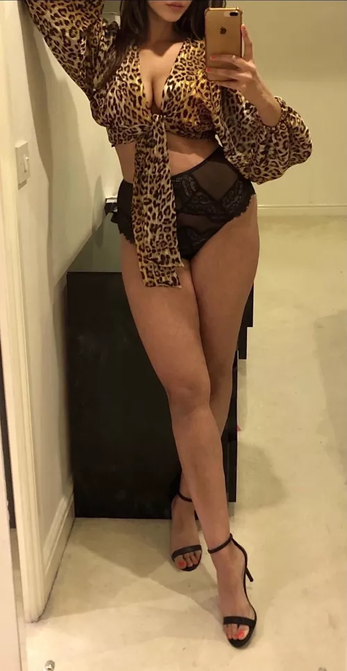 A lady on the streets, an animal under the sheets...ππ