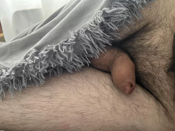 A lazy saturday morn