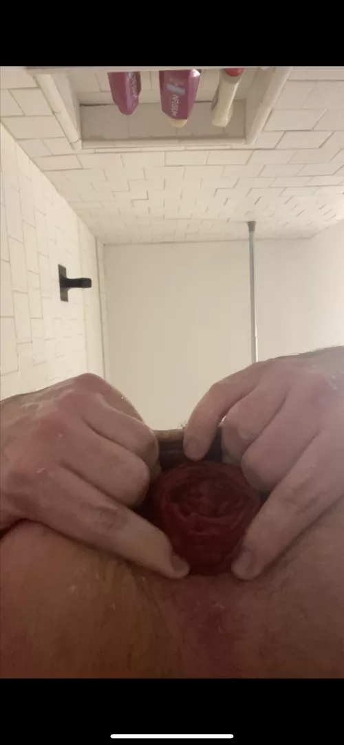 A lil post fisting rose🌹